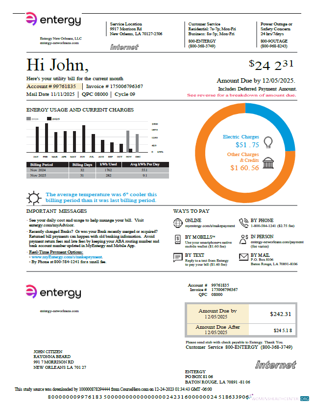 download download USA Entergy utility bill template in Word and PDF formats, version 2 PDF template PDF template